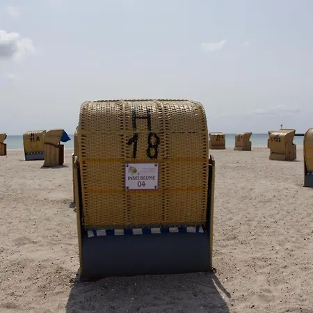 Inselblume 04 - Geraeumige Am Suedstrand